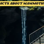 20 fun facts about mammoth cave national park