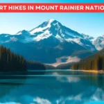 7 Best Short Hikes in Mount Rainier National Park