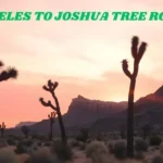 los angeles to joshua tree road trip